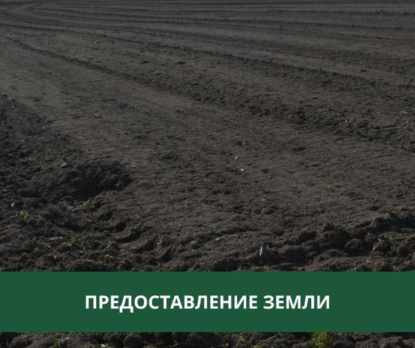 Администрация Томского района предоставляет землю в аренду