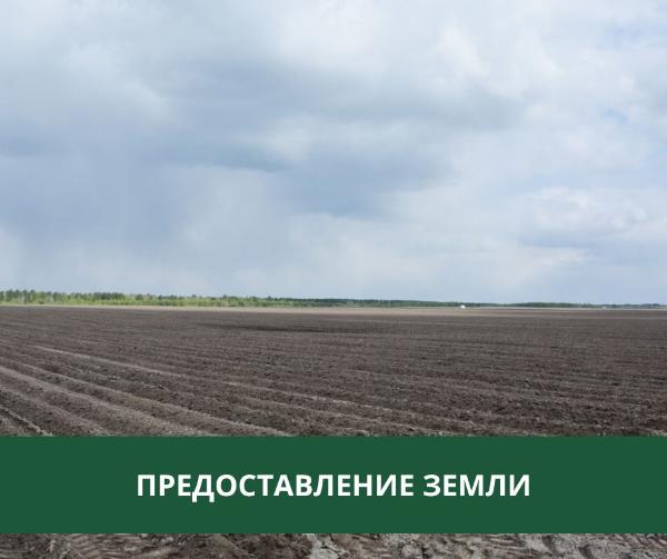 Администрация Томского района предоставляет земельный участок в аренду