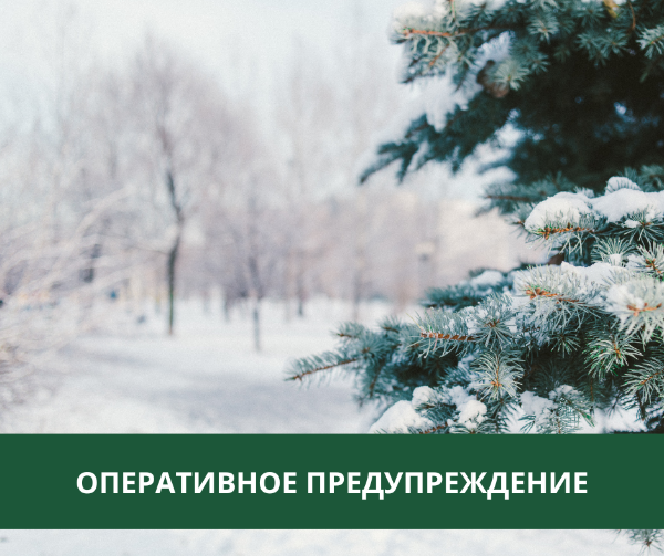 В Томском районе ожидается аномально холодная погода