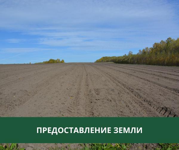 Администрация Томского района предоставляет земельный участок в собственность