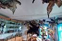 Первый токседермический музей «Дом охотника» открылся в д.Губино