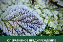 Заморозки ожидаются в Томском районе